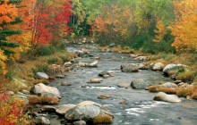 Autumn Colors - White Mountains - New Hampshire