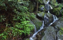 Place of a Thousand Drips - Roaring Fork - Great Smoky Mo... - Tennessee
