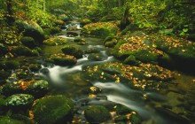 Roaring Fork - Timed Exposure - Great Smoky Mountains - Tennessee