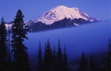 Rising Through the Fog - Mount Rainier - Washington