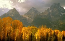 Fall in the Tetons - Wyoming