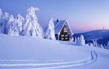 Beautiful winter wallpaper - Winter